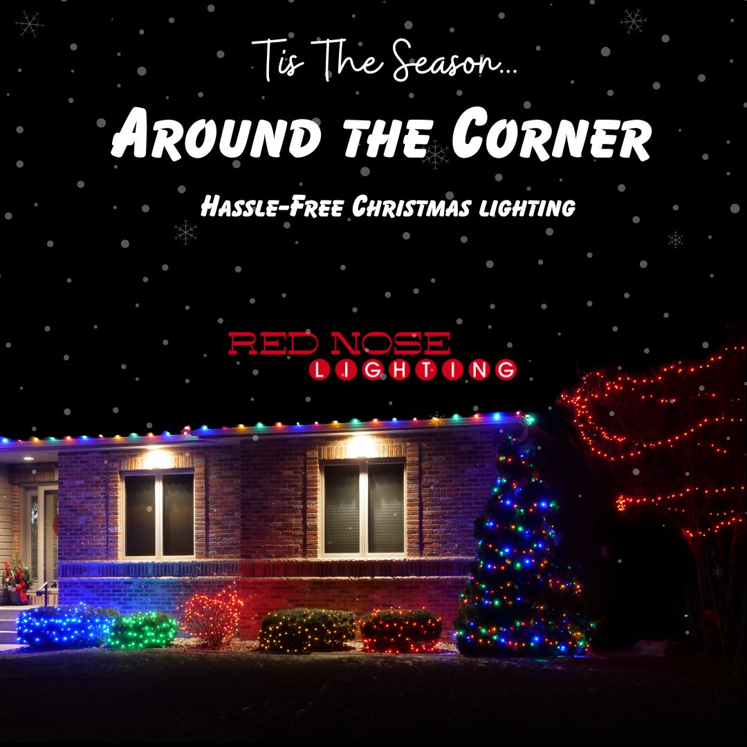 Red Nose Lighting seasonal campaign graphic with colorful lights