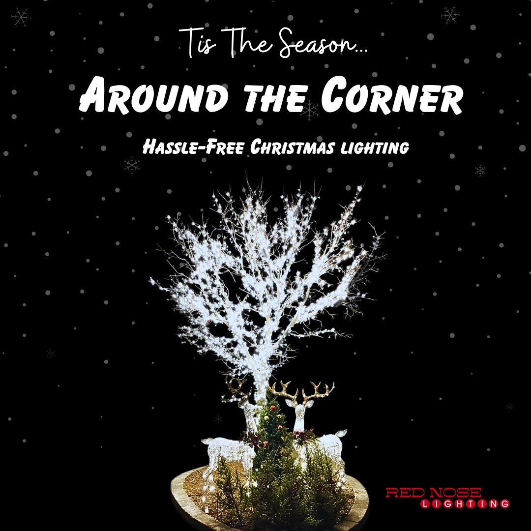 Red Nose Lighting seasonal campaign graphic with illuminated tree